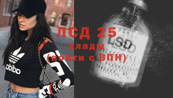 сатива Армянск