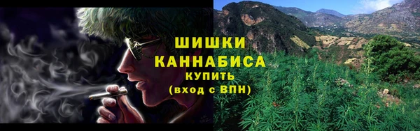 сатива Армянск