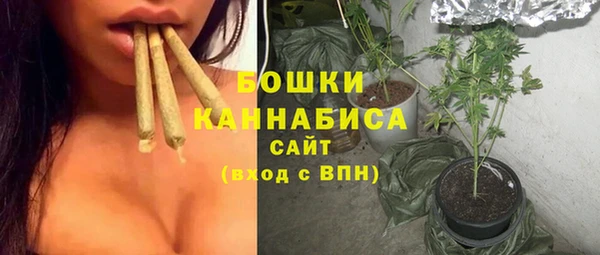 сатива Армянск