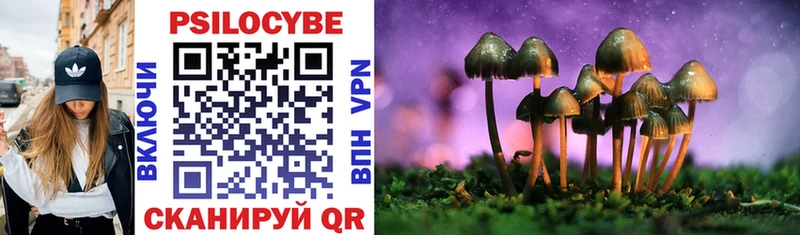 Галлюциногенные грибы Cubensis  продажа наркотиков  Болхов 